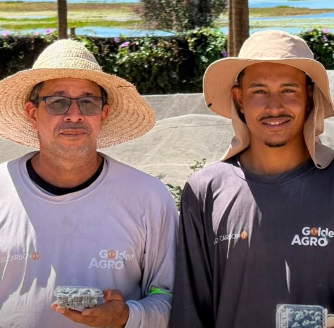 Colaboradores da Golden Agro segurando embalagens de mirtilo