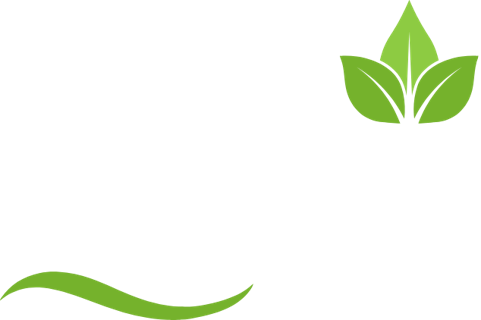 Golden Viveiros